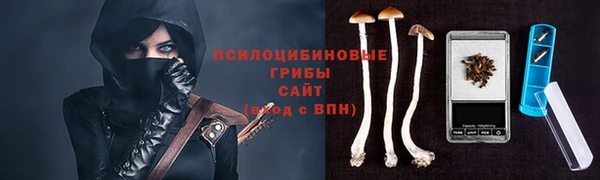 a pvp Абинск