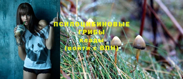 герыч Абаза