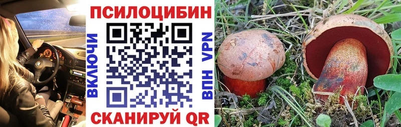 KRAKEN tor  Шиханы  Галлюциногенные грибы прущие грибы 